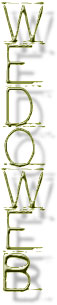WeDoWeb